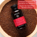 APIVITA, Color Seal, Color Protect Shampoo, σαμπουαν για βαμμένα μαλιά, 5201279080815