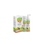 FREZYDERM Promo Lice Free Set, Shampoo 125ml, Lotion 125ml, Χτενάκι & ΔΩΡΟ Lice Rep Spray Extreme 80ml