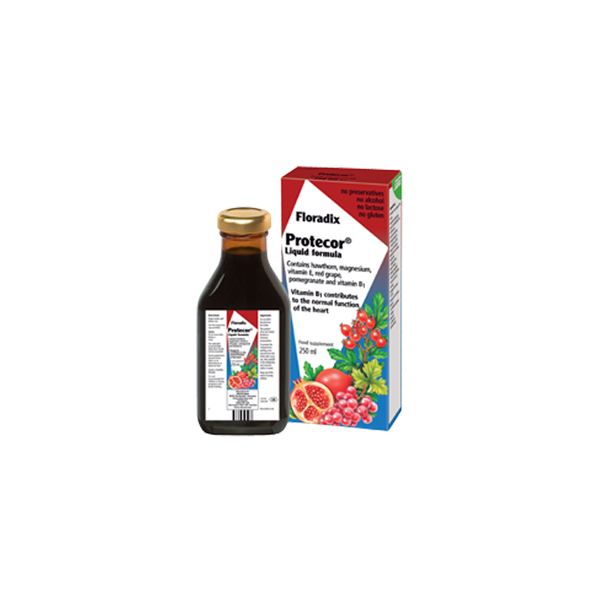 power-health-floradix-protecor-250ml POWER HEALTH Floradix Συμπλήρωμα Διατροφής Για Την 'Έλλειψη Σιδήρου 250ml - Image 1