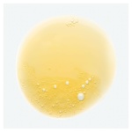 KLORANE - Σαμπουάν Θρέψης με Βούτυρο Μάνγκο Bio - Ξηρά Mαλλιά 200ml - Image 2