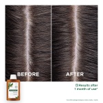 Klorane, Σαμπουάν Εξισορρόπησης Κατά της Πιτυρίδας, Σαμπουάν με Galanga, Ήπια πιτυρίδα, αντιπιτυριδικό σαμπουάν, σαμπουάν για πιτυρίδα