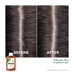 Klorane - Σαμπουάν Εξισορρόπησης Κατά Της Πιτυρίδας Με Galanga - Ήπια Πιτυρίδα 400ml