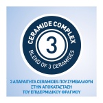 CERAVE Moisturising Lotion Ενυδατικό Γαλάκτωμα Προσώπου και Σώματος με Ceramides και Υαλουρονικό Οξύ 236ml - Image 6
