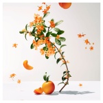 ROGER+GALLET Fleur D'Osmanthus Eau Parfumée Bienfaisante 100ml - Image 2