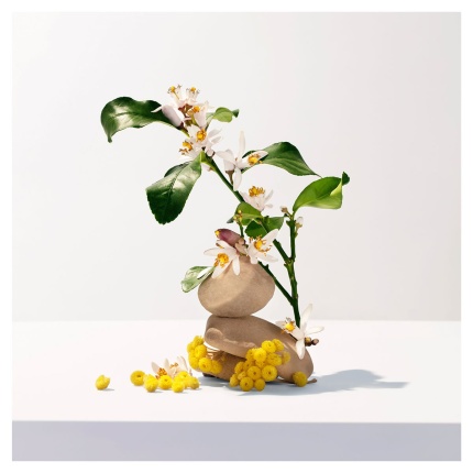 ROGER+GALLET Néroli Αφρόλουτρο 200ml