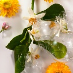 ROGER+GALLET Neroli  Αναζωογονητικό Σαπούνι, 100g - Image 3