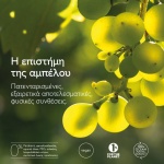 Caudalie Premier Cru The Serum 30 ml προϊόν περιποίησης επιδερμίδας