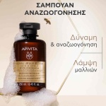 apivita ROYAL JELLY ELIXIR ΣΑΜΠΟΥΑΝ ΑΝΑΖΩΟΓΟΝΗΣΗΣ